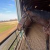 dylan.equestrian