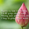 phuongdoanvtv