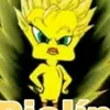 pipiolocriticon