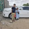 طائر الحنون اليافعي