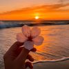 .jassmine31