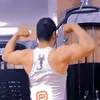 garipbirini