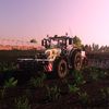 wojtek9877