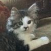 jossie528