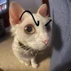 w2ehayvcl_z