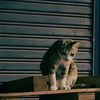george0936_