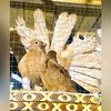 junaid_rana888