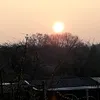 elschalom