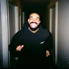verapulp