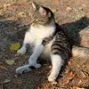 sabrina1337