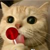 milyoner_kendli