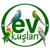 Ev Kuşları