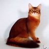 twooneztaylorthecat