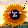 ตะวันอาร์ตshop