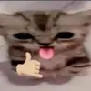 andjusticefor4ll