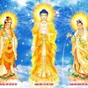 Kinh sách Phật Pháp miễn phí