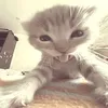 l0vly_lxy