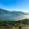 bongcaisanh