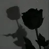 𝓜 𝔂̃ 𝔂̃ 🎀