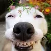 nhinhicutteee