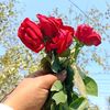 user49317820