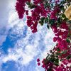 ___sarah_amar__