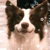 agnesiamc