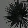 ldtht