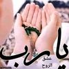 user18063109