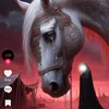 as_4690