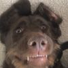 mrgoat15