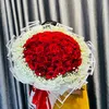 hoatuoibaobinhbd