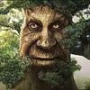 ethan_trenything