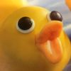 sourduck7274
