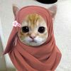 allaysh4