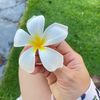 www.duyen84