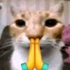 .ariamis