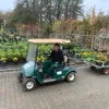 wassimgartenbaugartenpfl