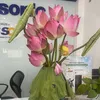 bghu_368