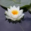 lotusflower762