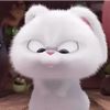 youuuuuuuuuu1_