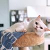michelle_08231996