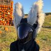 lunarvulpine