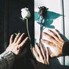 flowersanders16