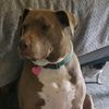 nh.girl.moved.2.wa