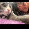 angely.yupa