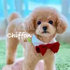 iamchiffon