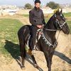 nafeesulhassanbok