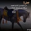 sultanalali707
