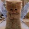 hello.this.is.taleen